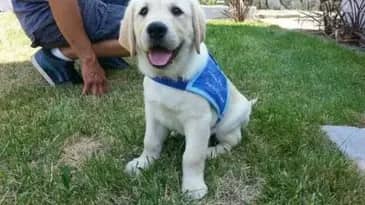 Churro Churro